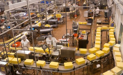 The discovery is important for industrial cheesemaking. iStockphoto